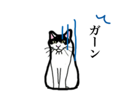 Real cat everyday sticker #6151251