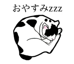 Real cat everyday sticker #6151253