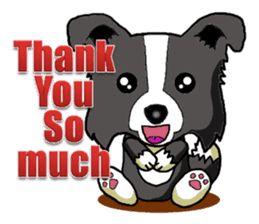 I Love Border Collie 4 sticker #6152977