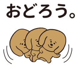 hachi_toypoodle sticker #6155147