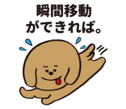 hachi_toypoodle sticker #6155151