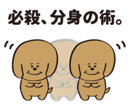 hachi_toypoodle sticker #6155164