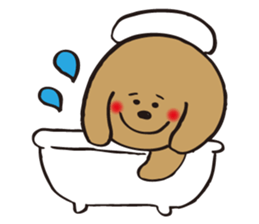 hachi_toypoodle sticker #6155171