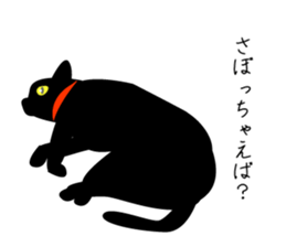 Fanny black cat stickers! sticker #6156797