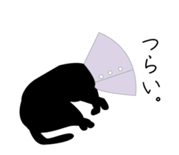 Fanny black cat stickers! sticker #6156803