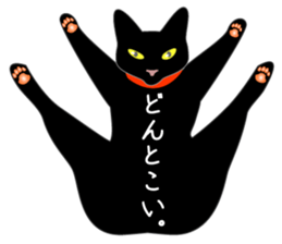 Fanny black cat stickers! sticker #6156811