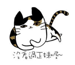 Meow Box(humanoid) sticker #6158230