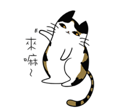 Meow Box(humanoid) sticker #6158238