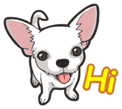 Hi! Chihuahua sticker #6162536