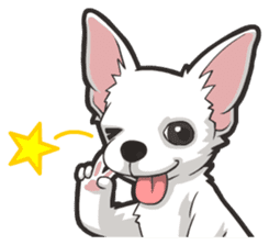 Hi! Chihuahua sticker #6162537