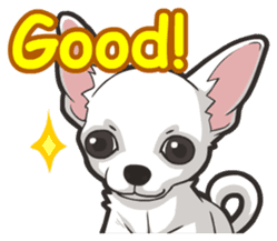 Hi! Chihuahua sticker #6162540