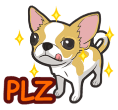 Hi! Chihuahua sticker #6162543