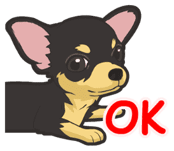 Hi! Chihuahua sticker #6162547