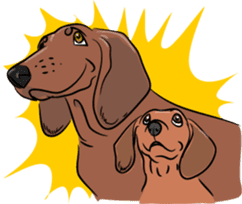 Dachshunds love playing! sticker #6165498