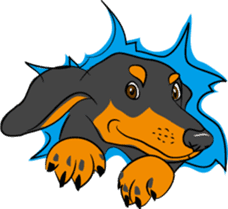 Dachshunds love playing! sticker #6165505