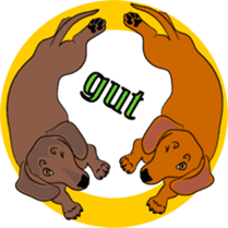 Dachshunds love playing! sticker #6165506