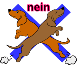 Dachshunds love playing! sticker #6165507