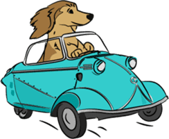 Dachshunds love playing! sticker #6165508