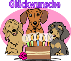 Dachshunds love playing! sticker #6165509
