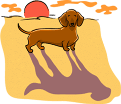Dachshunds love playing! sticker #6165513