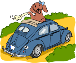 Dachshunds love playing! sticker #6165514