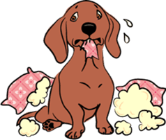 Dachshunds love playing! sticker #6165515