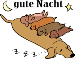 Dachshunds love playing! sticker #6165519