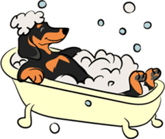 Dachshunds love playing! sticker #6165521