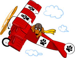 Dachshunds love playing! sticker #6165523