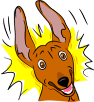 Dachshunds love playing! sticker #6165528