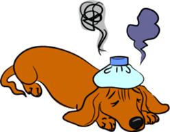 Dachshunds love playing! sticker #6165530