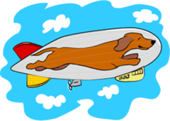 Dachshunds love playing! sticker #6165532