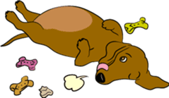Dachshunds love playing! sticker #6165534