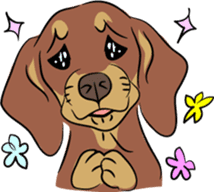 Dachshunds love playing! sticker #6165535