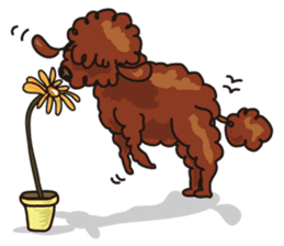 gooji is not a lamb sticker #6166031