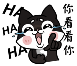 Shiba couple(Mr. Brown Sugar life) sticker #6167377