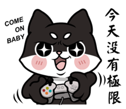 Shiba couple(Mr. Brown Sugar life) sticker #6167381