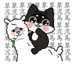 Shiba couple(Mr. Brown Sugar life) sticker #6167391