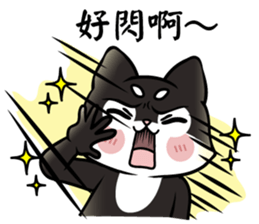 Shiba couple(Mr. Brown Sugar life) sticker #6167394