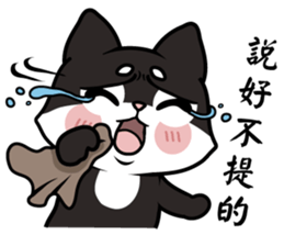 Shiba couple(Mr. Brown Sugar life) sticker #6167400