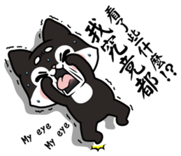 Shiba couple(Mr. Brown Sugar life) sticker #6167402