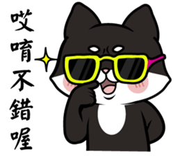 Shiba couple(Mr. Brown Sugar life) sticker #6167407