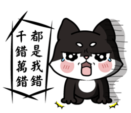 Shiba couple(Mr. Brown Sugar life) sticker #6167408