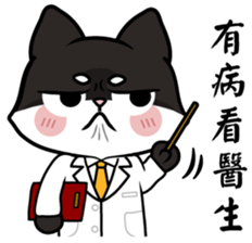 Shiba couple(Mr. Brown Sugar life) sticker #6167410