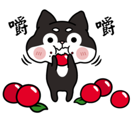 Shiba couple(Mr. Brown Sugar life) sticker #6167415