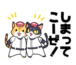 The cat which plays baseball sticker #6167625