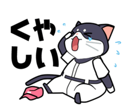 The cat which plays baseball sticker #6167635