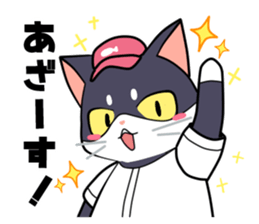 The cat which plays baseball sticker #6167639