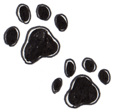 The KINAKO's Sticker sticker #6171324