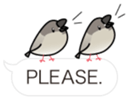 Message Java sparrows for English. sticker #6171960